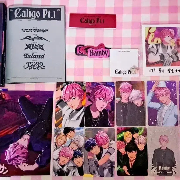 플레이브 밤비 뱅가드 폴라로이드 2주년 팝업 포카 + 샤쉐 +  사진덤