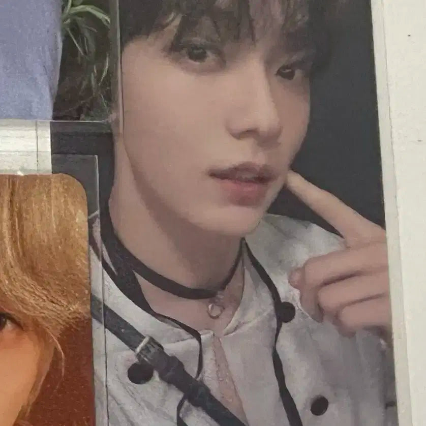 투바투 투모로우 위버스재팬 포카판매