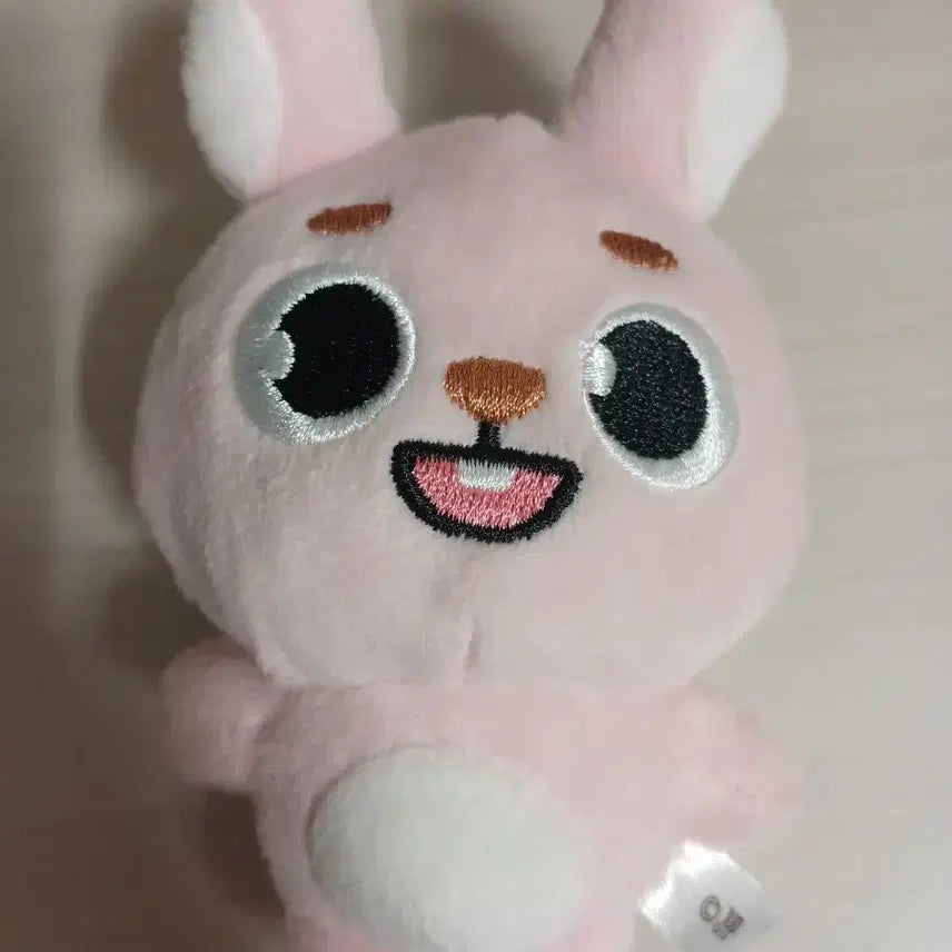 데이식스 데니멀즈 일본 굿즈 백참 필끼 양도