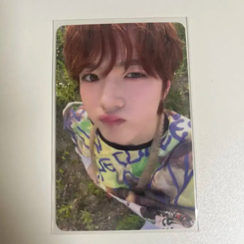 엔시티 위시 컬러 애플뮤직 사쿠야 포카 양도