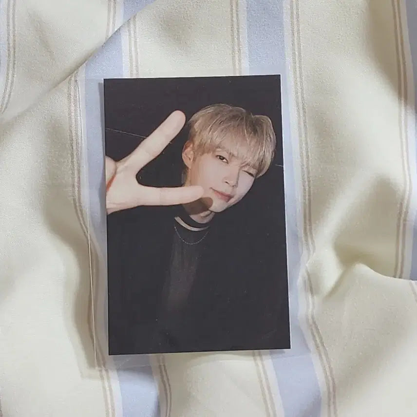 제로베이스원 성한빈 타임리스월드 콘서트 제로즈존 3일차 럭키필름 포카