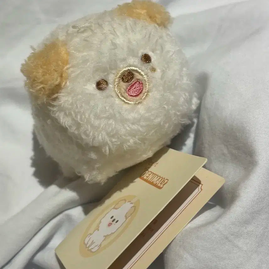 데이식스 도운 인형