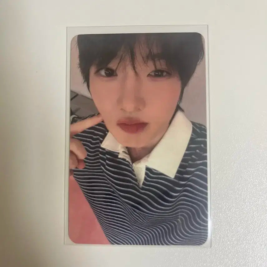 엔시티 위시 사쿠야 헬로라이브샵 포카 양도