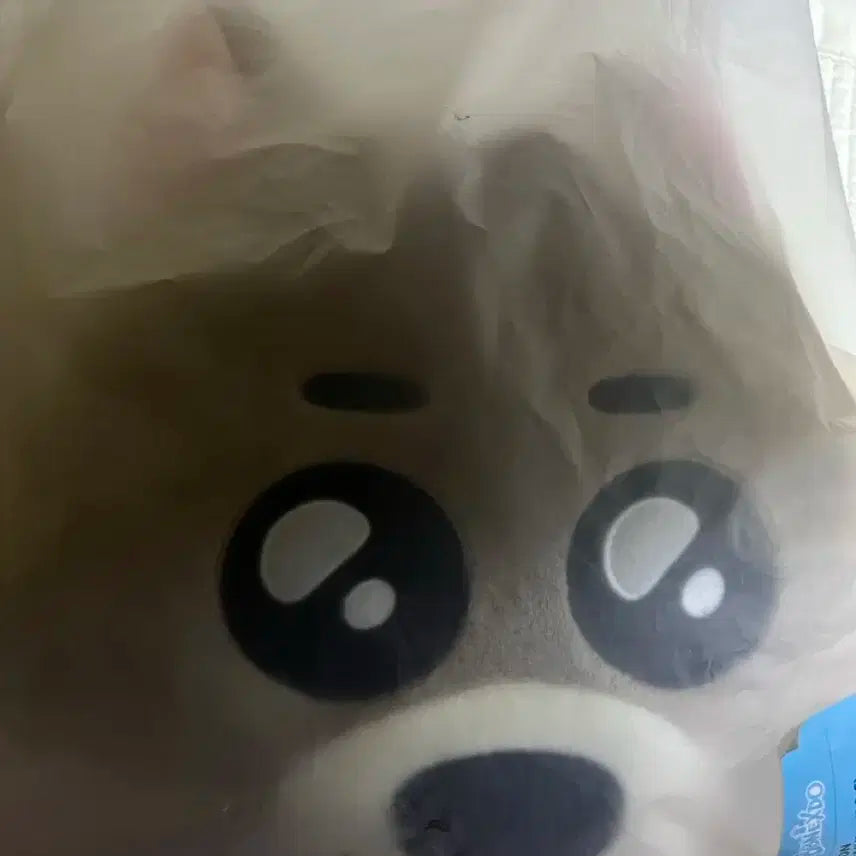 명명이 쿠션