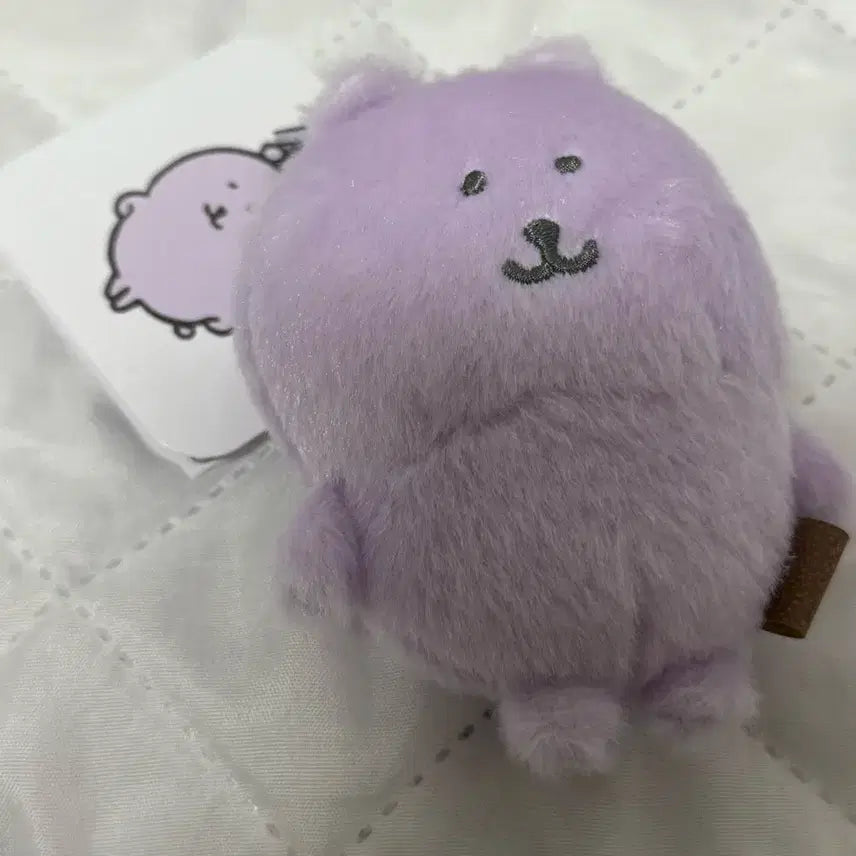 농담곰 컬러곰 라벤더