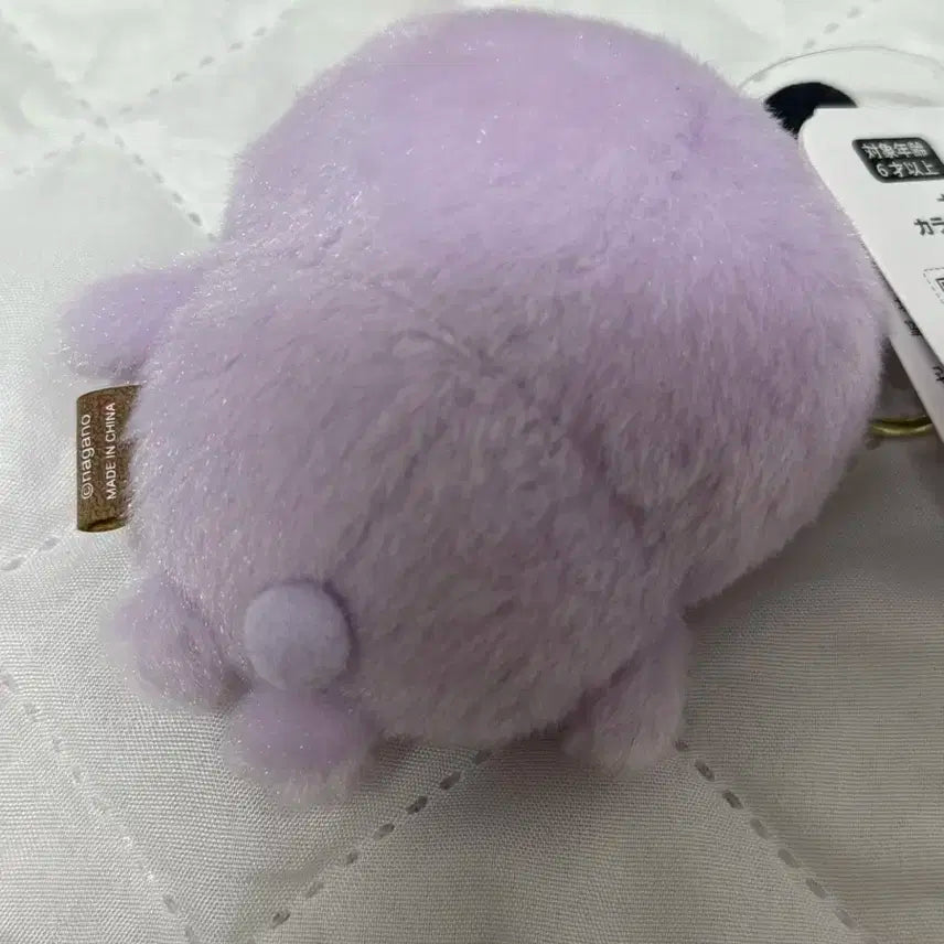 농담곰 컬러곰 라벤더
