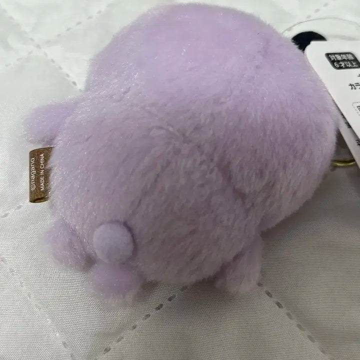 농담곰 컬러곰 라벤더