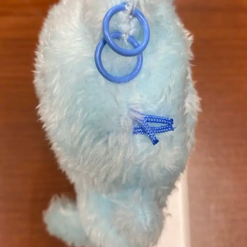 컬러 위시돌 wishdoll 블루 쿠리 파란 쿠리 단순개봉 배송비 미포함