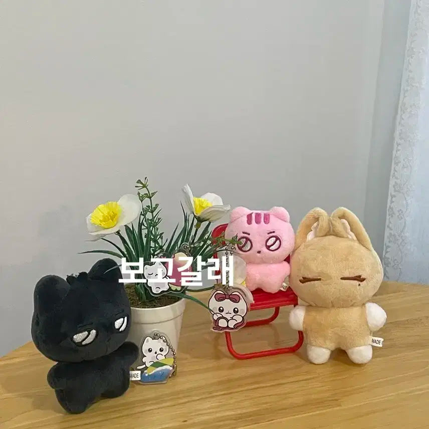 말랑플브 5종 세트 원가이하 양도