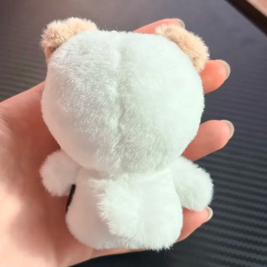 데이식스 도운 포에버영 손가락 인형, 포카 일괄로 판매합니당!!