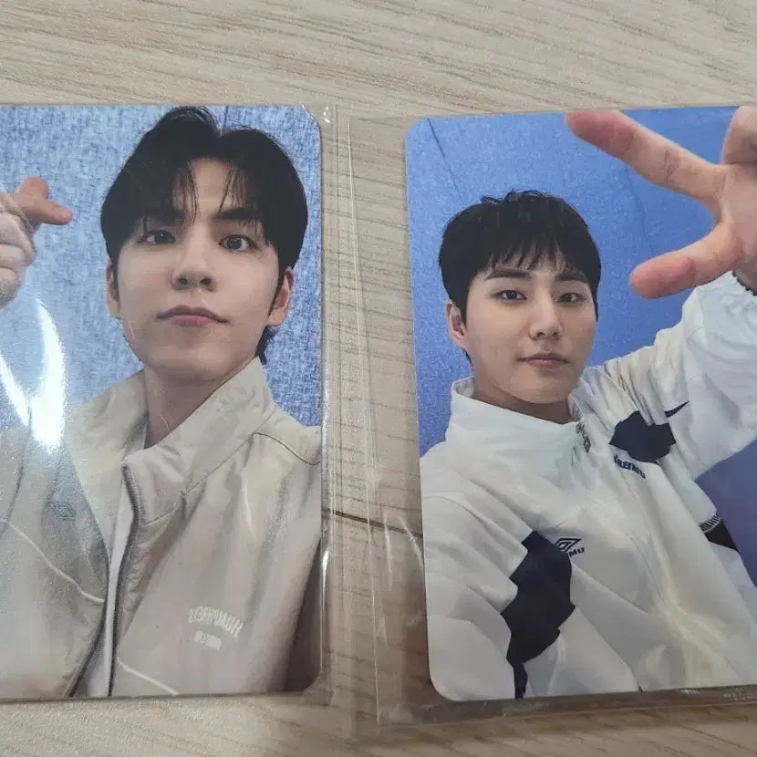 데이식스 엄브로 영케이 포카