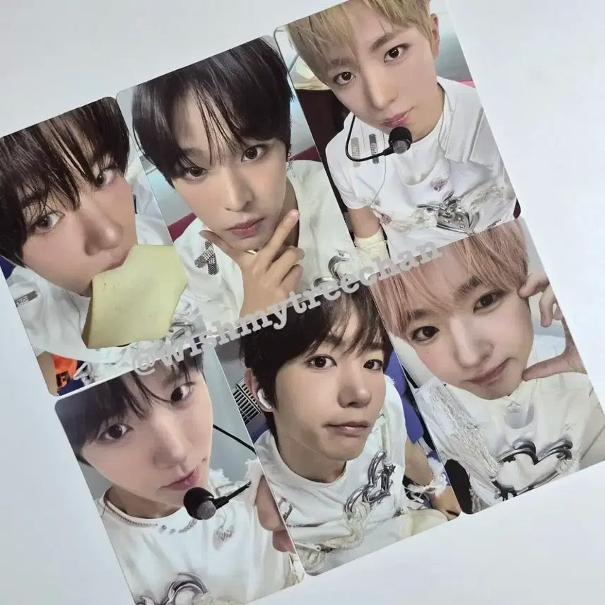 (비현물) 엔시티위시 슴스 슴스토어 대면 팬싸인회 미공포 포카