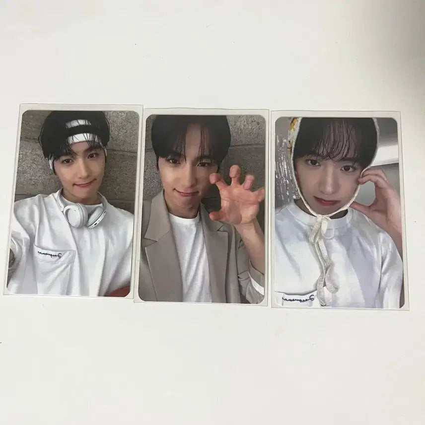 더보이즈 현재 앰플앤 포카 양도