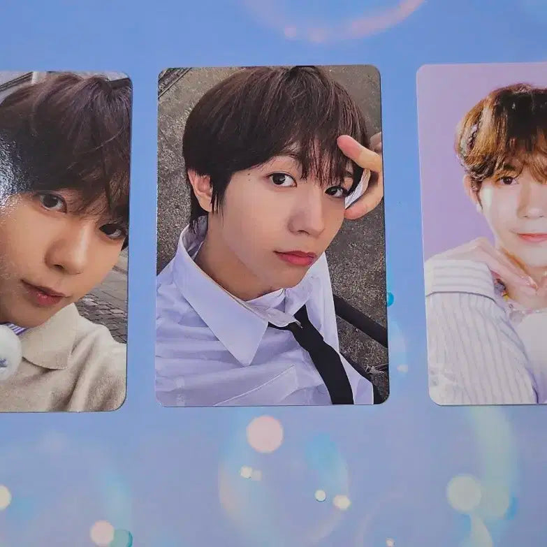 엔시티위시 료 포카 일괄