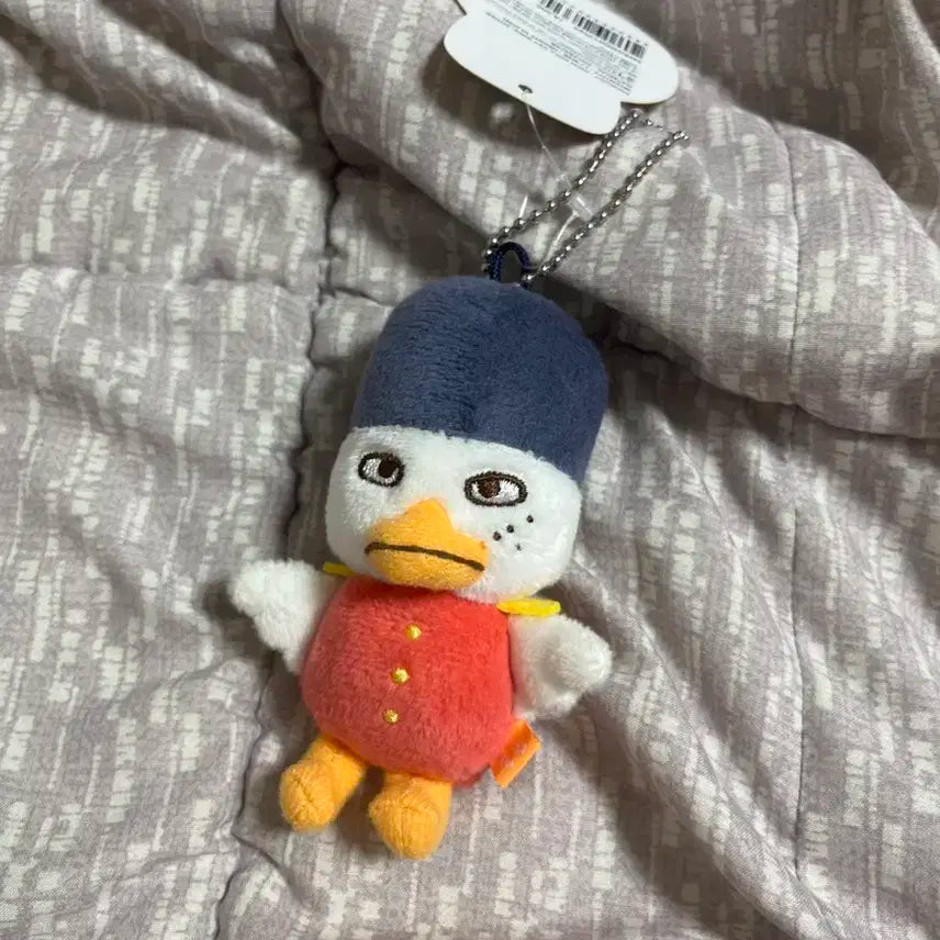 10cm 똘병이 양도합니다