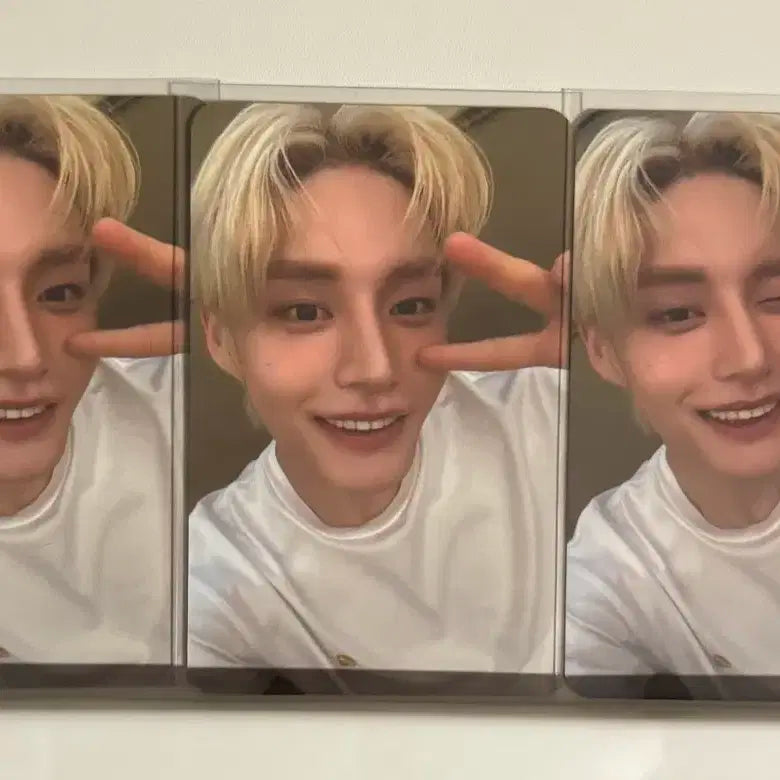 제로베이스원 김지웅 컬러그램포카 일괄