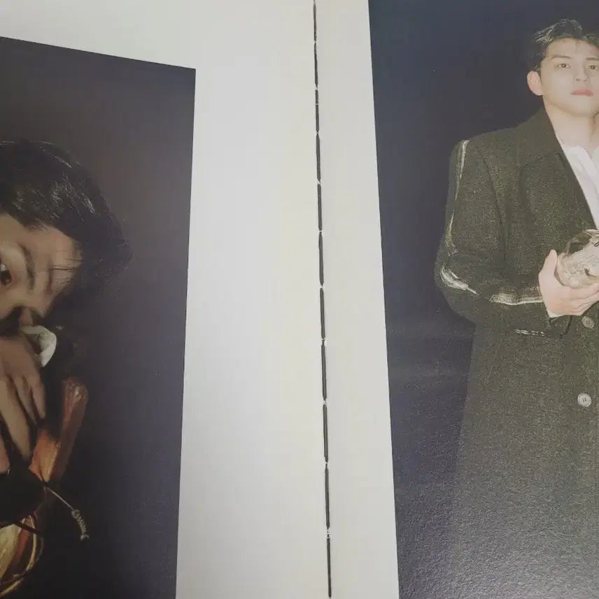 데이식스 원필 필모그래피 앨범 일괄 판매