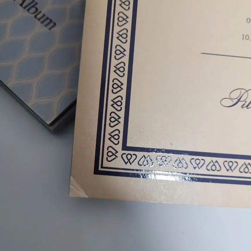 데이식스 원필 필모그래피 앨범 일괄 판매