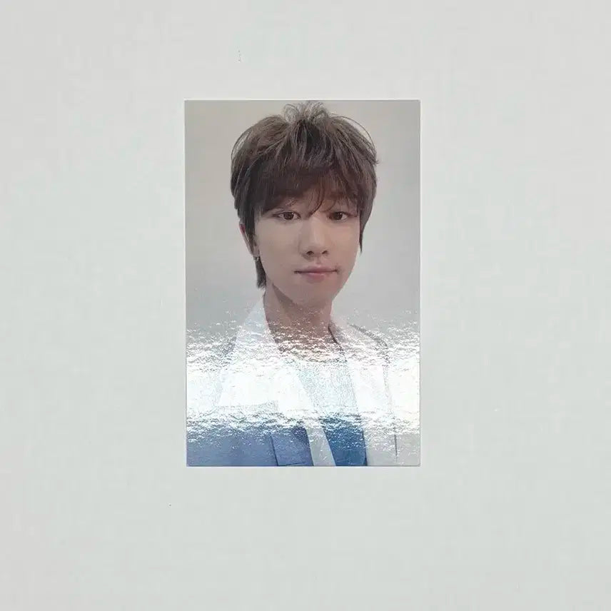 세븐틴 2019 캐럿랜드 캐럿존 디에잇 명호 the8 세븐틴 굿즈
