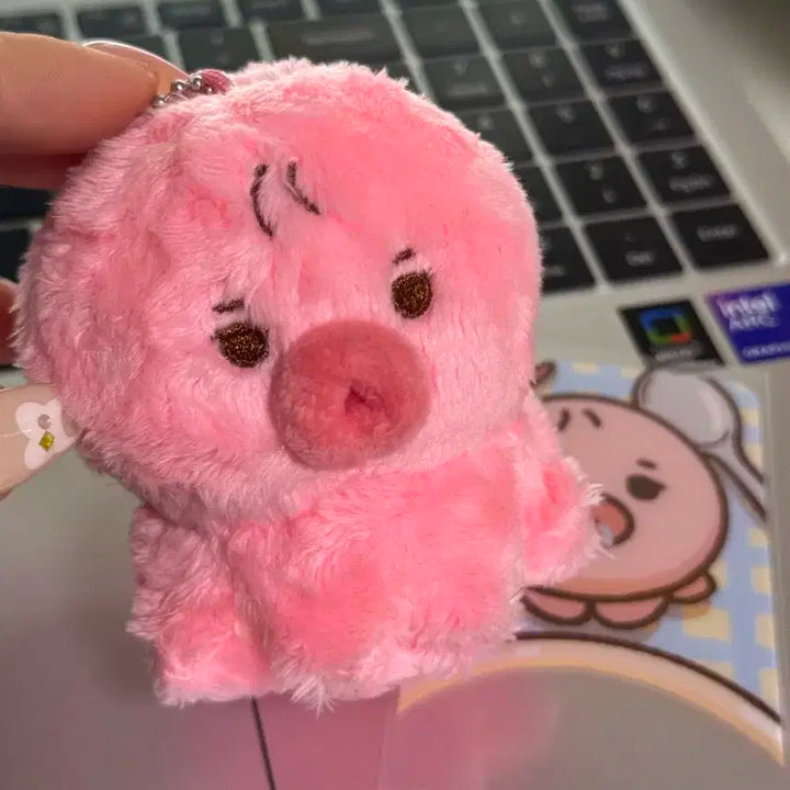 더보이즈 선우 인형 떤코