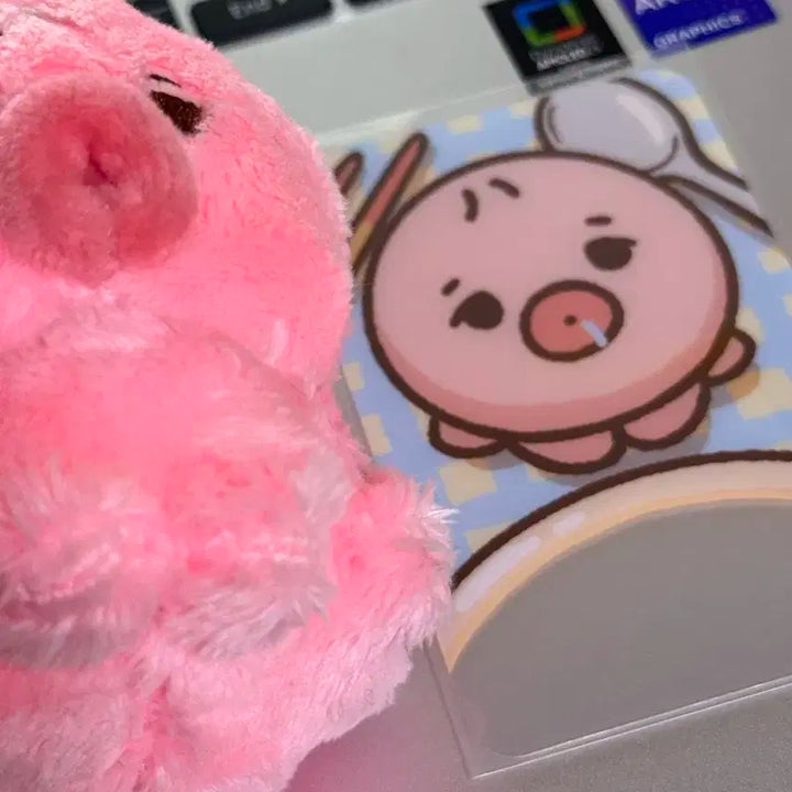 더보이즈 선우 인형 떤코