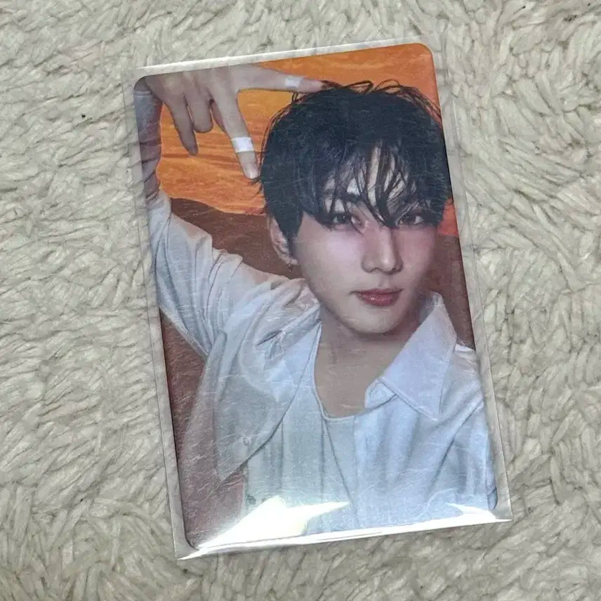 엔하이픈 정원 유튜브 기프트 럭드 로맨스 언톨드 포카 양도 힛백 특전