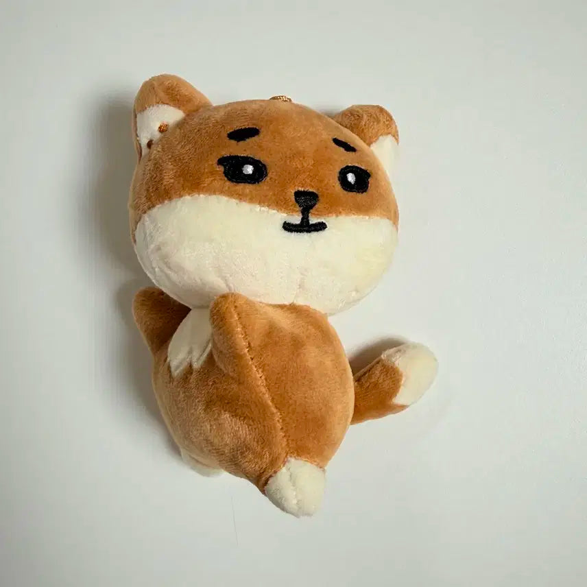 데이식스 24클콘 데니멀즈 핸드워머 손난로 케