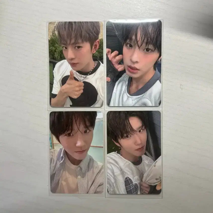 엔시티위시 컬러 포카 양도 nctwish 리쿠 유우시 재희 대영 미공포