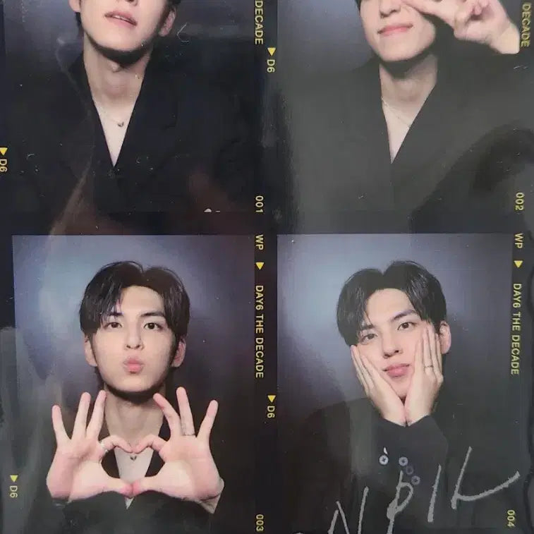 데이식스 더데케이드 앨범 예판 특전 네컷 원필