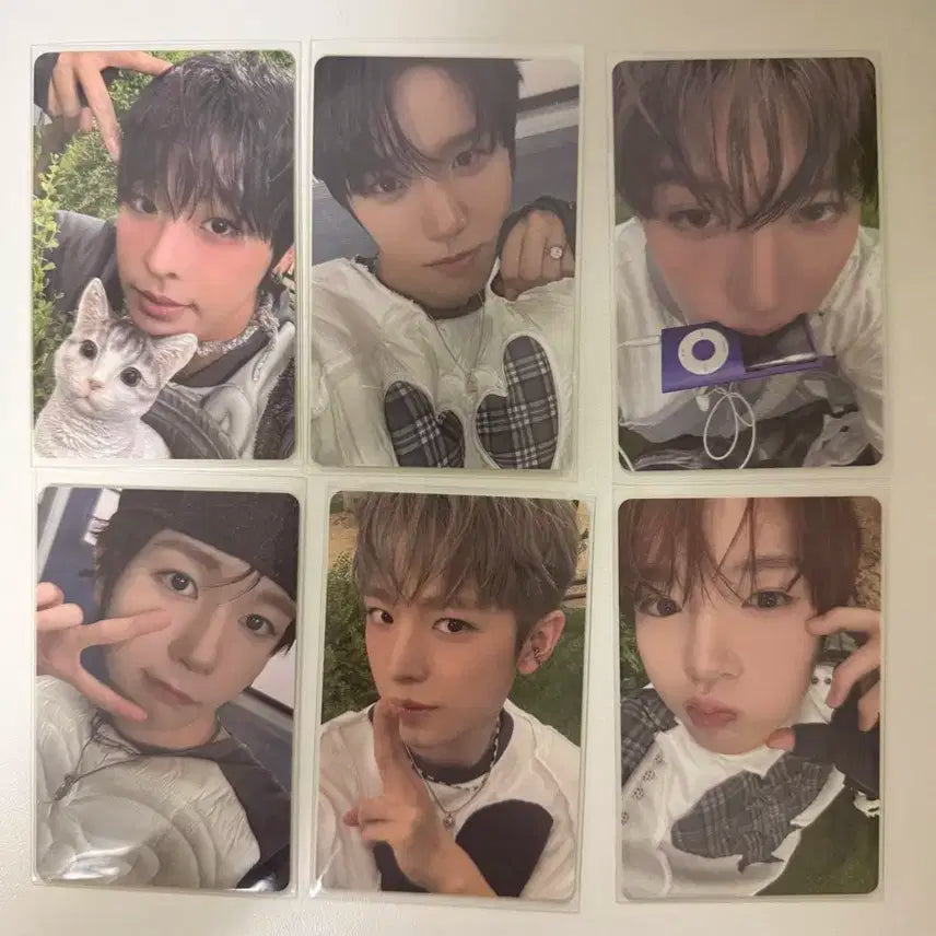 엔시티위시 컬러 쥬얼 앨범 개인반 포카 일괄 판매