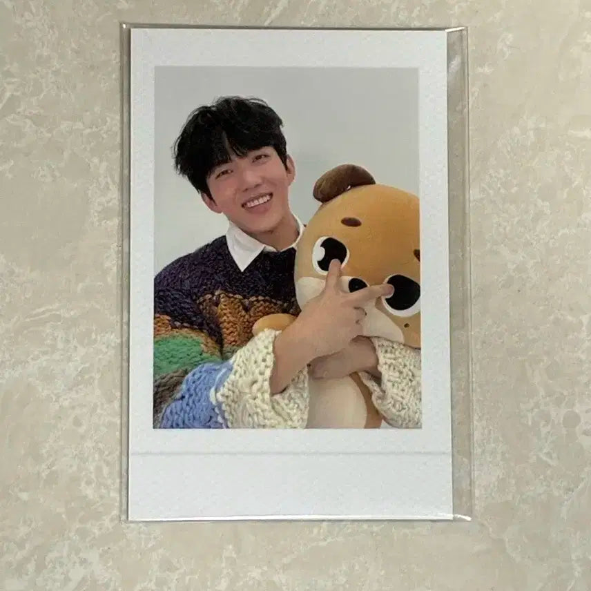 데이식스 자이언트 데니멀즈 도운 포카(미개봉)