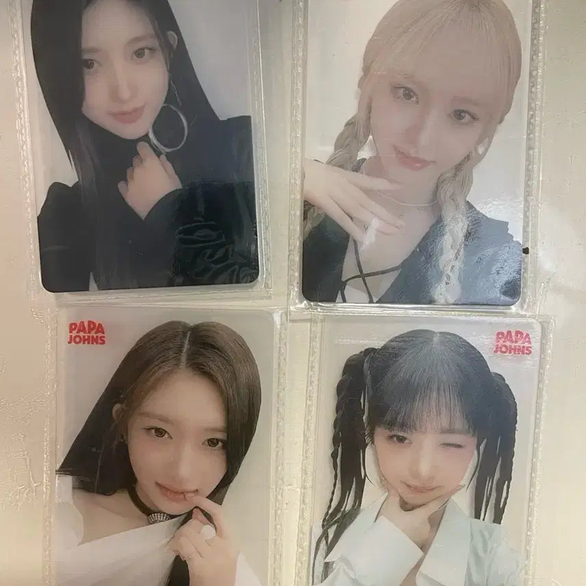 아이브 파파존스 포토카드 세트