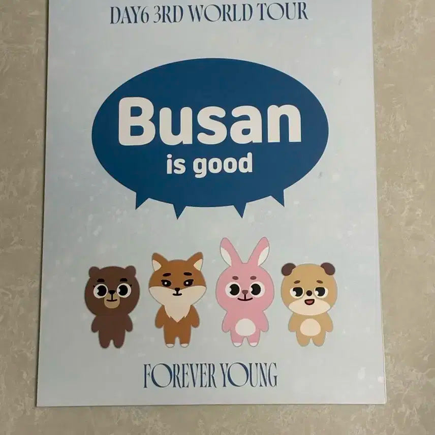 데이식스 포에버영 부산콘 막콘 입장키트(엽서+포카+폰스트랩)