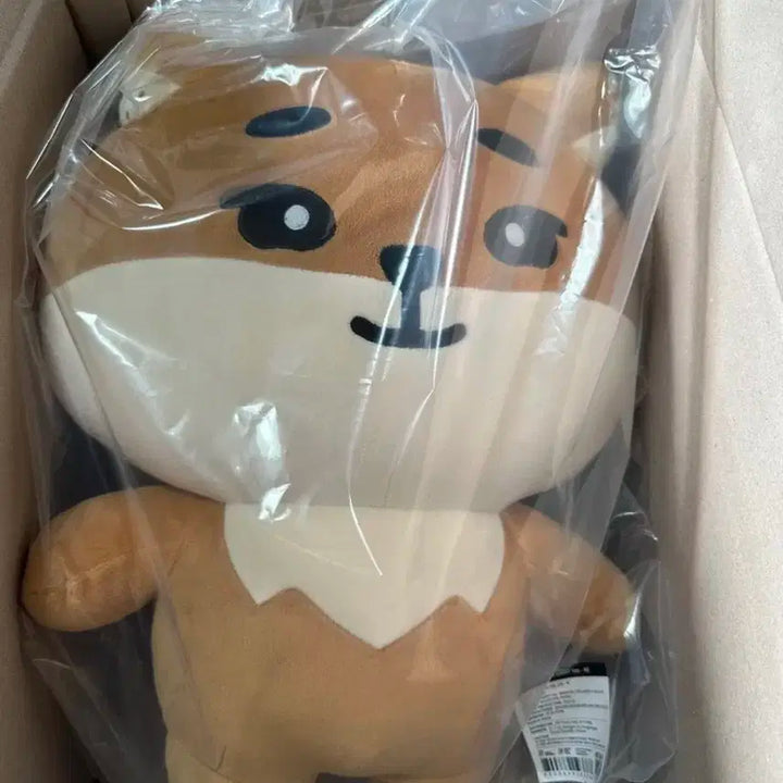 데이식스 자이언트 데니멀즈 케 (개봉 후 전시,폴라포함) 영케이