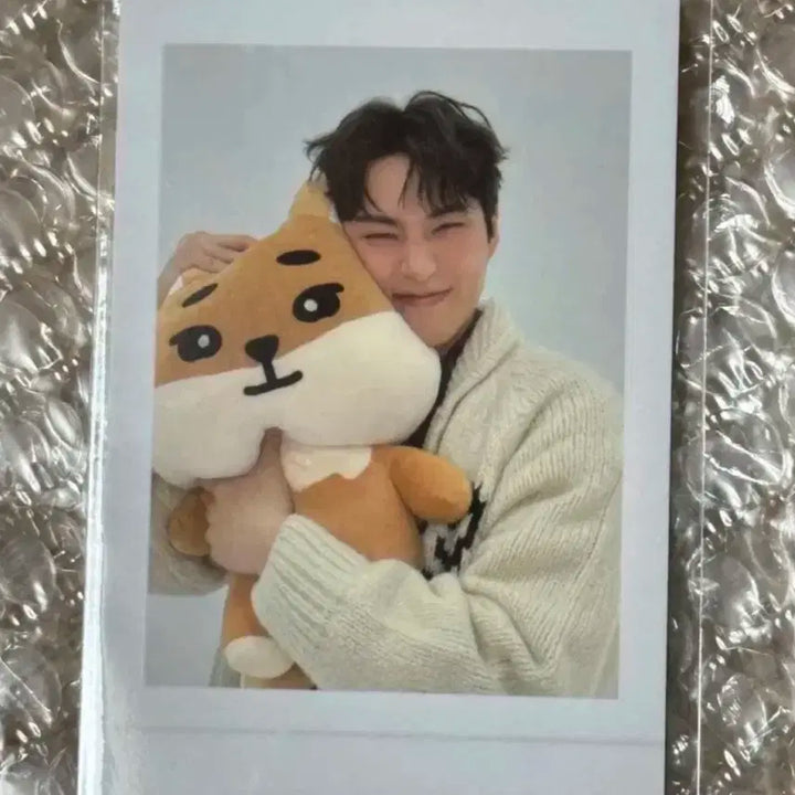 데이식스 자이언트 데니멀즈 케 (개봉 후 전시,폴라포함) 영케이