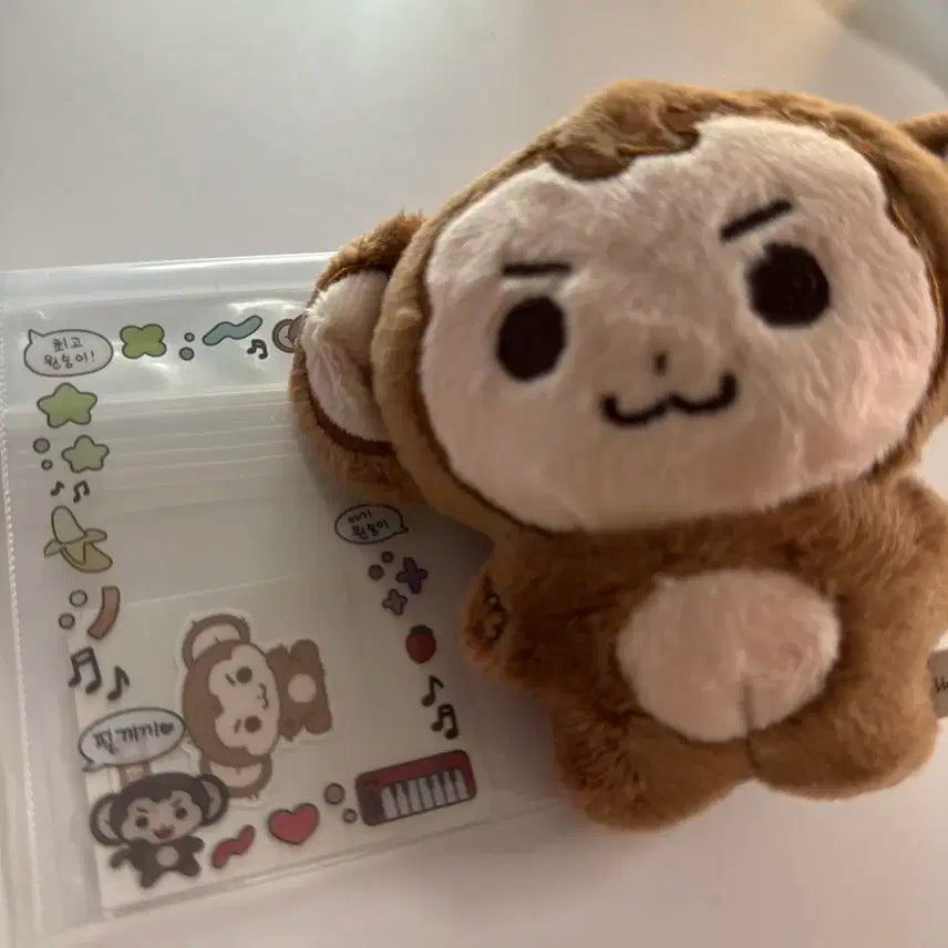 데이식스 원필 인형 몽필이 양도합니다