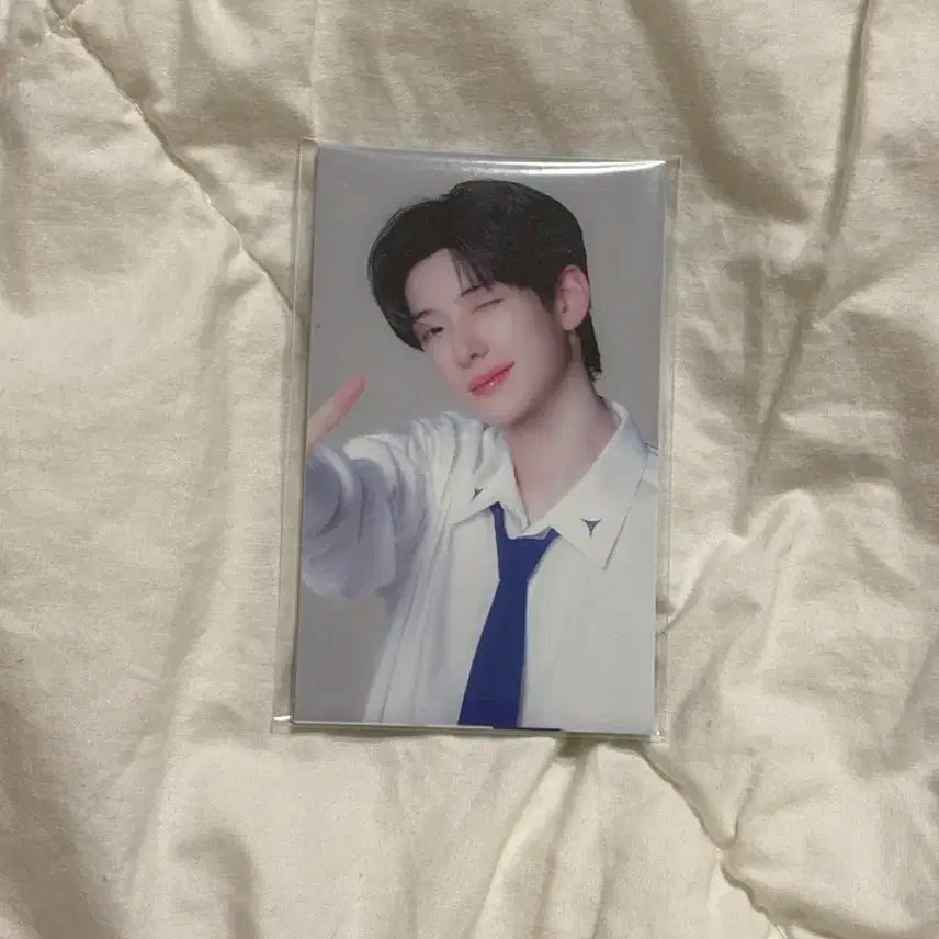 알차드라이브원 정상형 포카