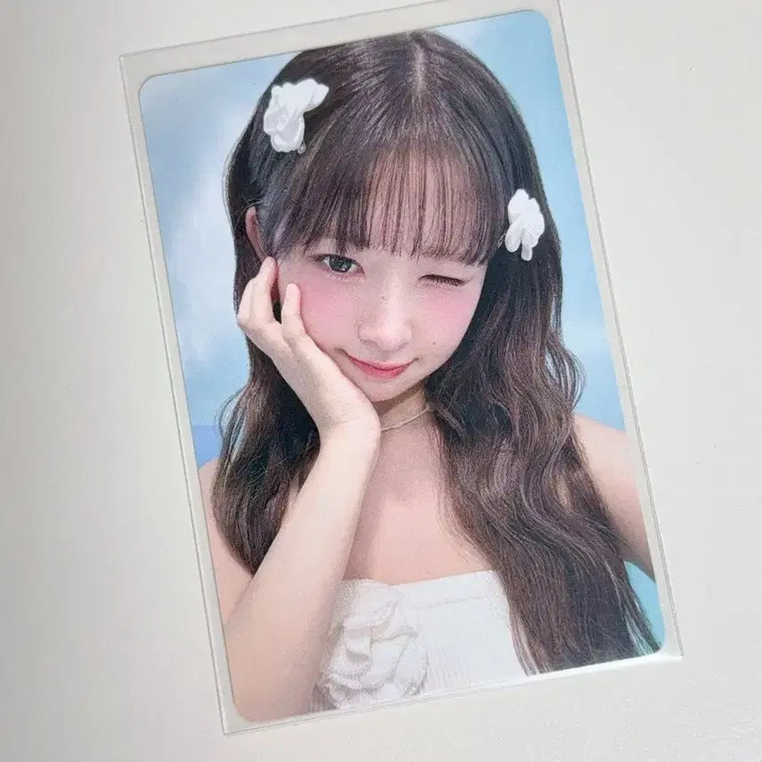 아이브 얼라이브 레이 판매