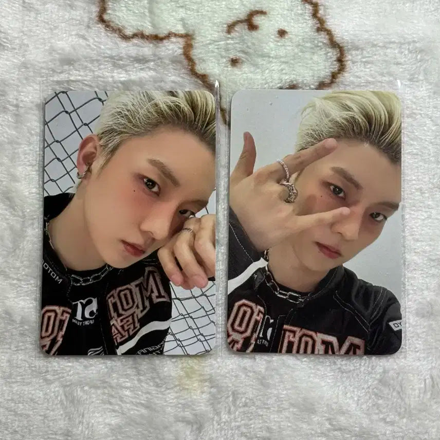 더보이즈 큐 2025 시그 특전 프리오더 포카 일괄