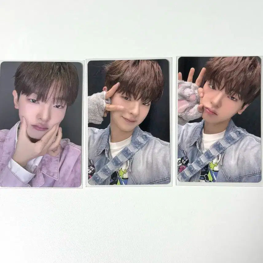 보플 상하이 1주차 포카 강우진 슈가하이