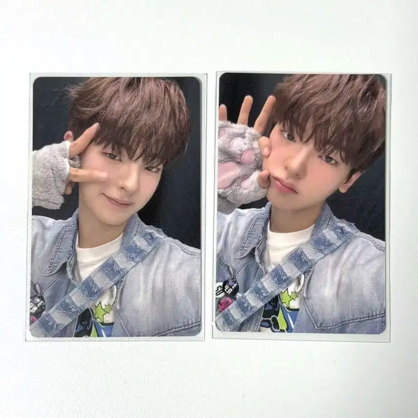 보플 상하이 1주차 포카 강우진 슈가하이