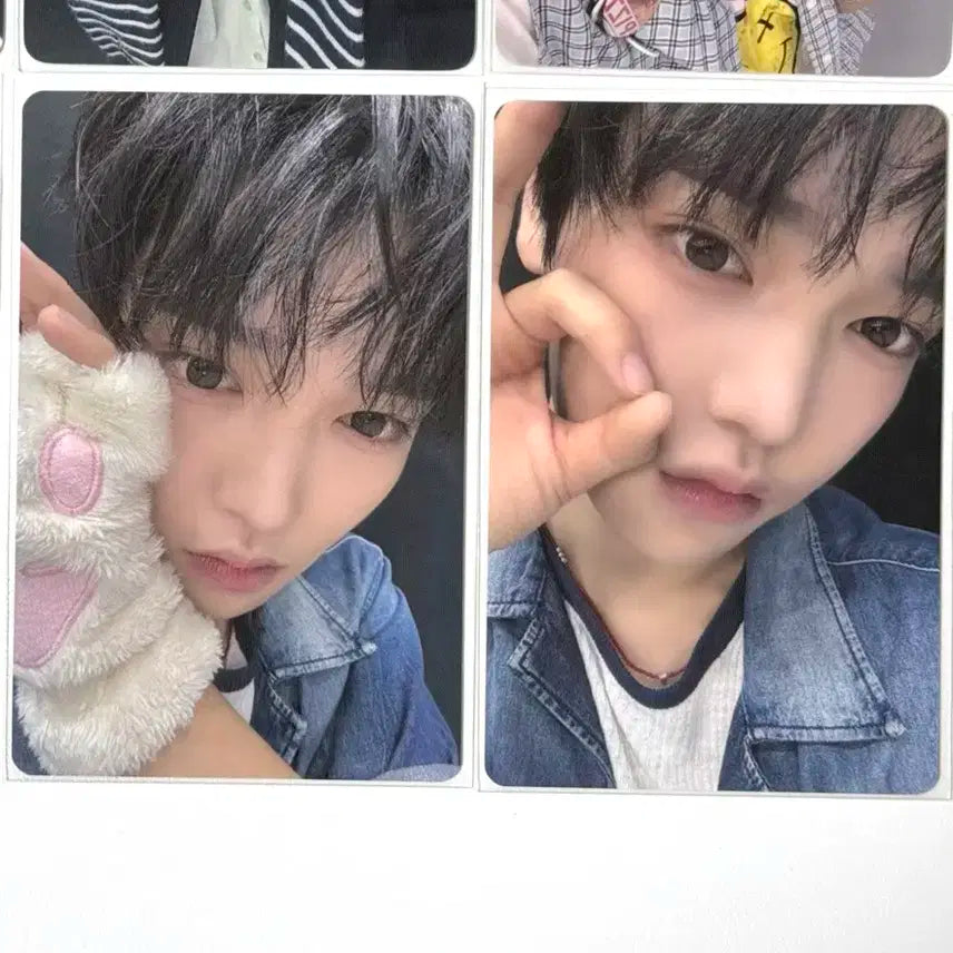 보플 상하이 1주차 포카 장한음 슈가하이