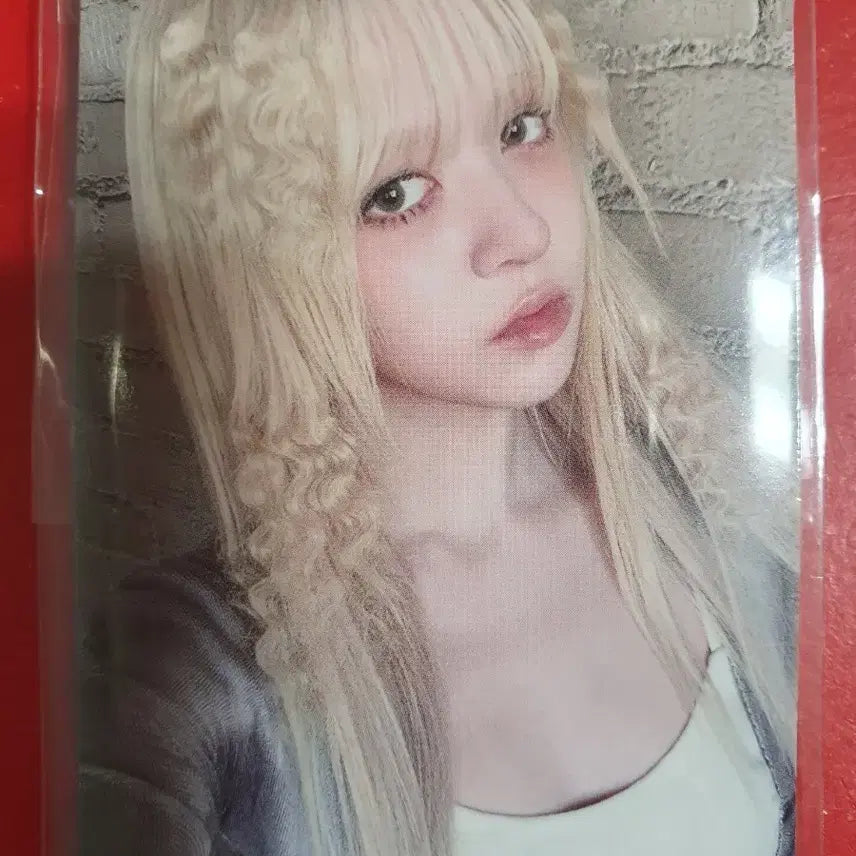 엔믹스 릴리 블루 발렌타인 공방포카