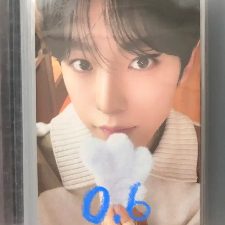 덤o) 엔시티위시 유우시 포카 양도