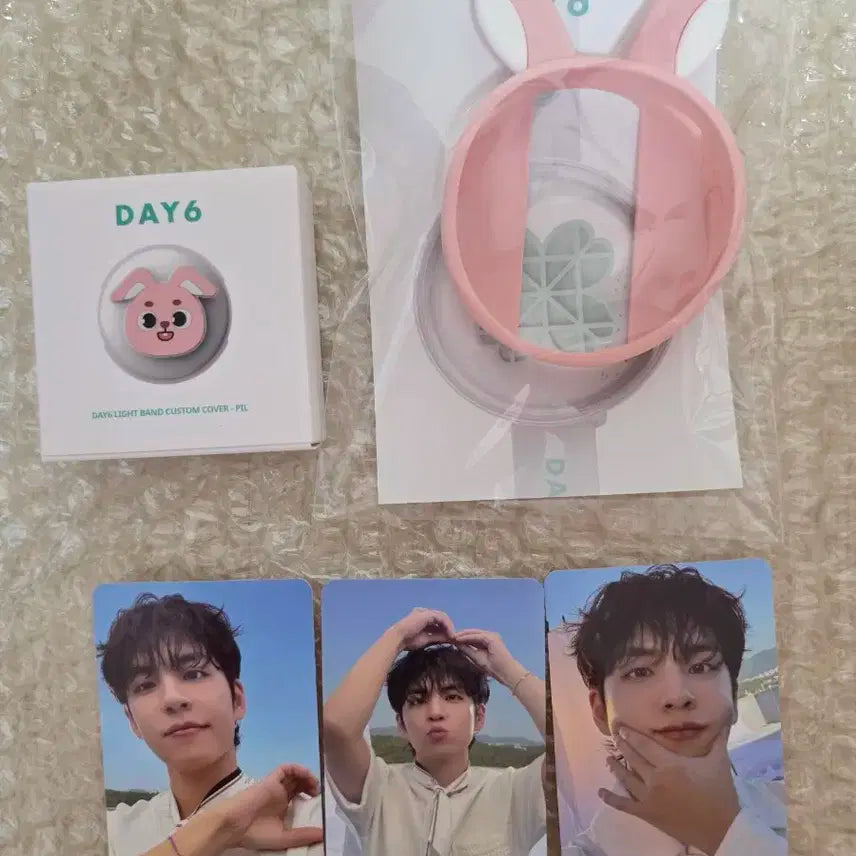 [일괄] 데이식스 커스텀 커버 데니멀즈 필