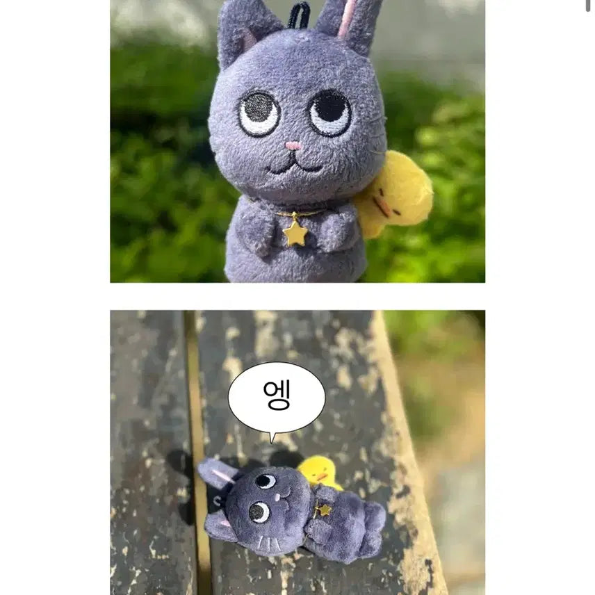 1기 토냥덕 라이즈 원빈 양도
