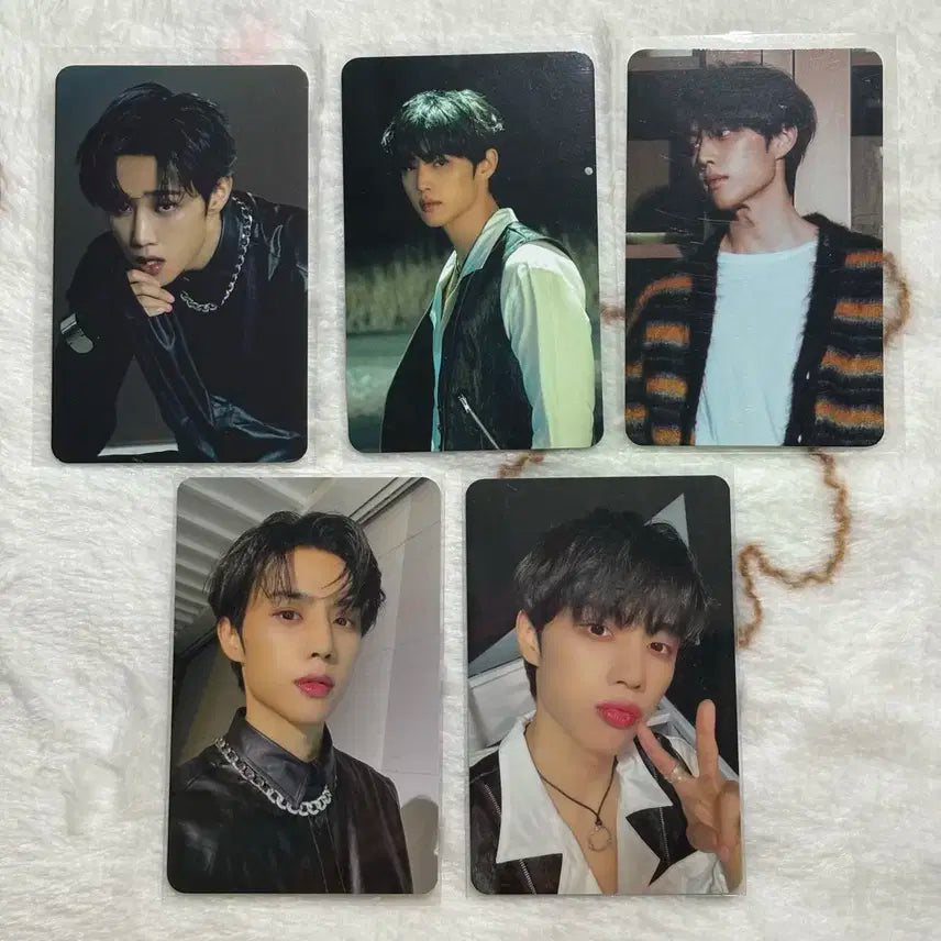 더보이즈 선우 로어 앨포 일괄