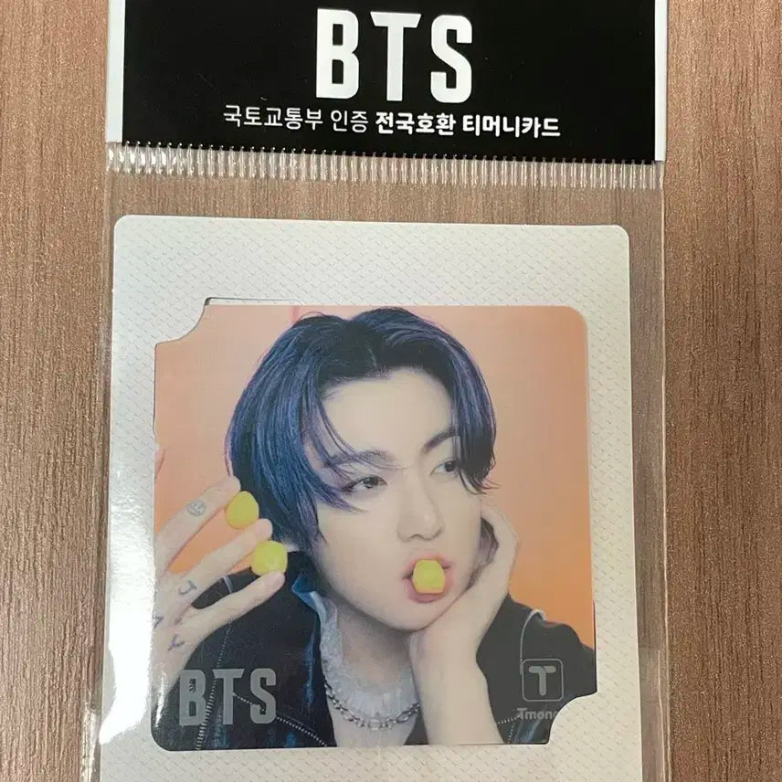 방탄 2021 미니 티머니 교통카드 미개봉 정국