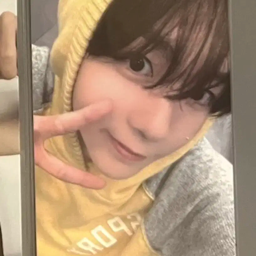 엔시티위시 료 포카 양도 스테디 케타포 ktown4u 특전 미공포