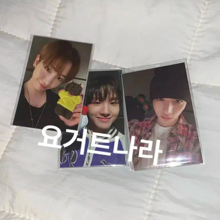 보이넥스트도어 쁘넥도 인형 포카 명재현 태산 운학 미개봉 일괄